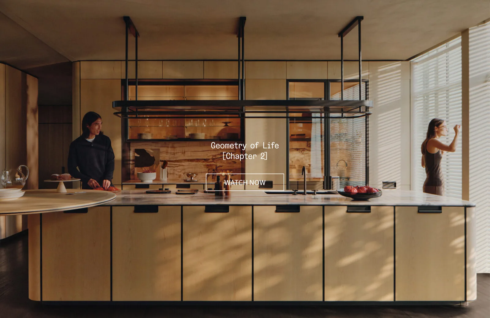 Molteni&C в Молдове